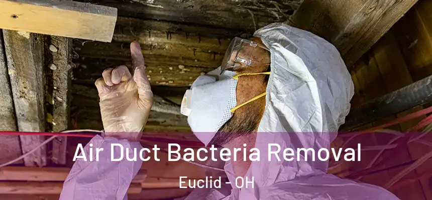  Air Duct Bacteria Removal Euclid - OH