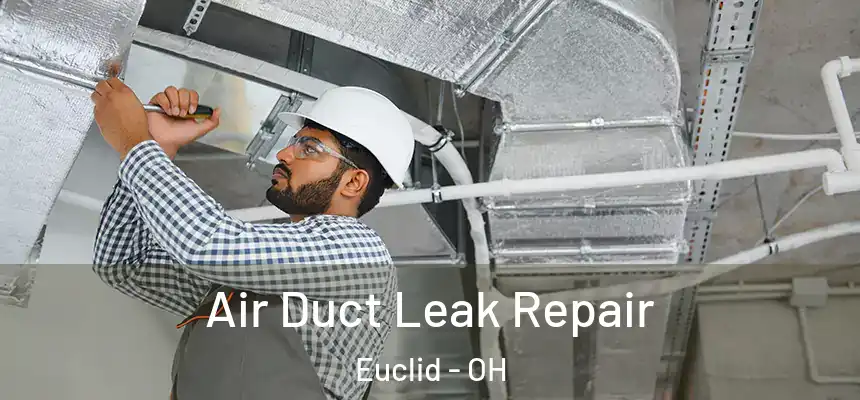  Air Duct Leak Repair Euclid - OH