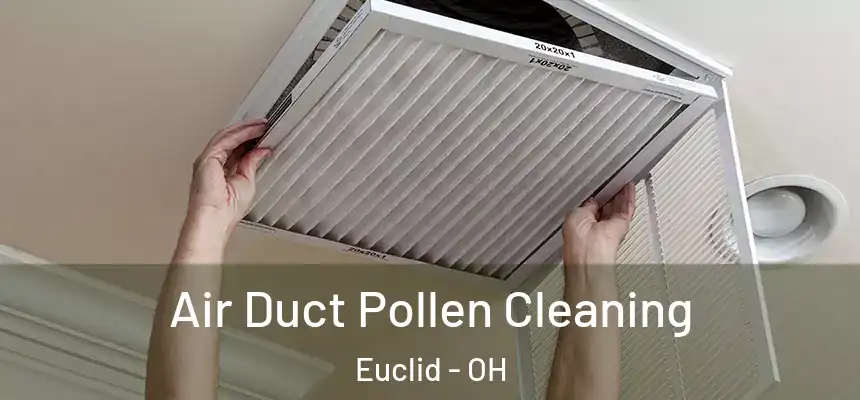  Air Duct Pollen Cleaning Euclid - OH