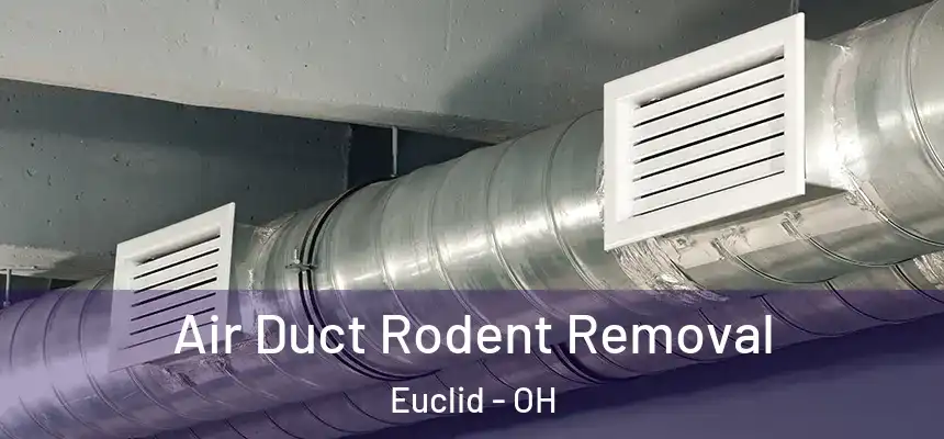  Air Duct Rodent Removal Euclid - OH