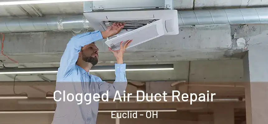  Clogged Air Duct Repair Euclid - OH