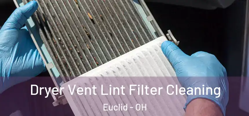  Dryer Vent Lint Filter Cleaning Euclid - OH