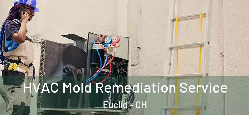  HVAC Mold Remediation Service Euclid - OH