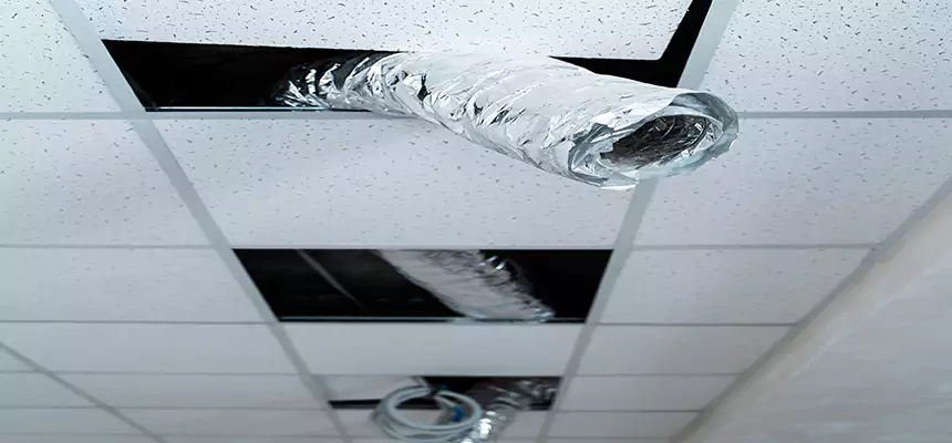 Affordable HVAC Sanitizing After Pest Removal in Euclid