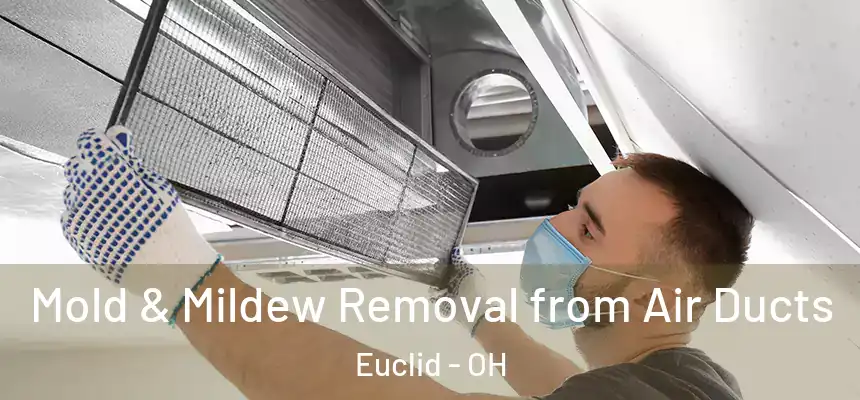  Mold & Mildew Removal from Air Ducts Euclid - OH