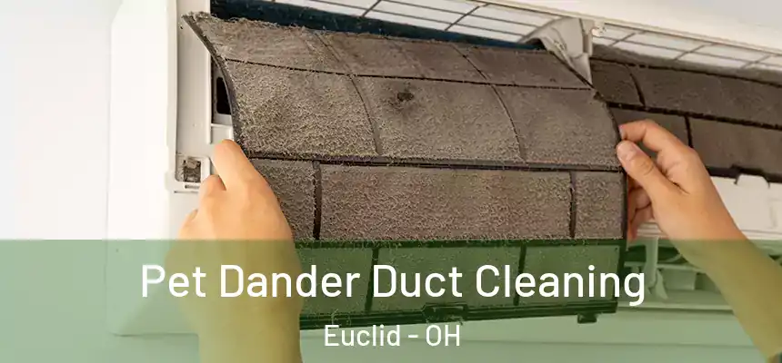  Pet Dander Duct Cleaning Euclid - OH
